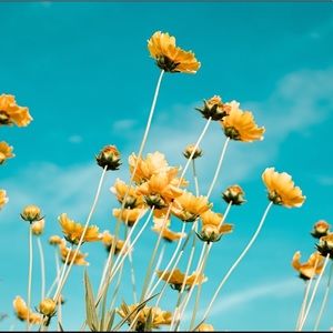 Meet your Posher, Mackenzie